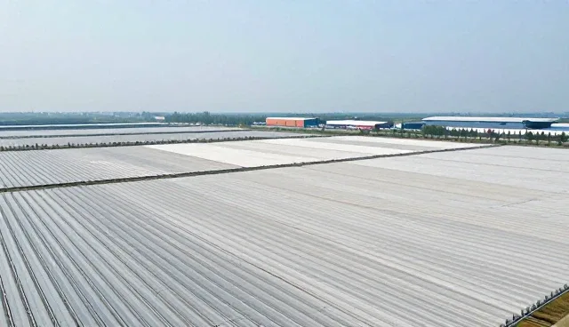 技术开发中选型与使用常见问题及处理建议